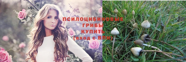 прущие крисы Алексин