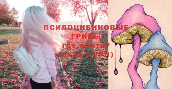 герыч Алзамай