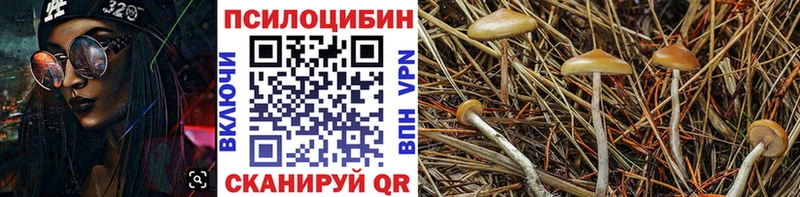 Галлюциногенные грибы GOLDEN TEACHER  Волгодонск 